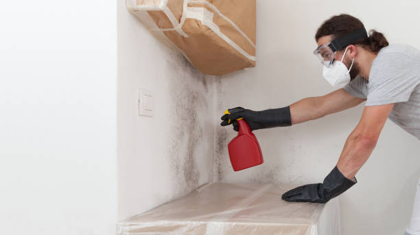 Professional Bathroom Mold Removal technician working in Huntingdon, TN