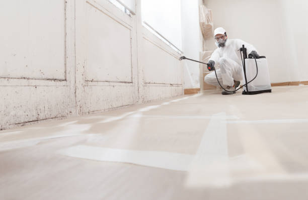 24/7 Emergency Bathroom Mold Removal experts in Huntingdon, TN