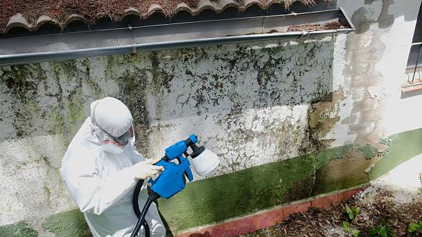 Top rated local Bathroom Mold Removal specialists in Huntingdon, TN